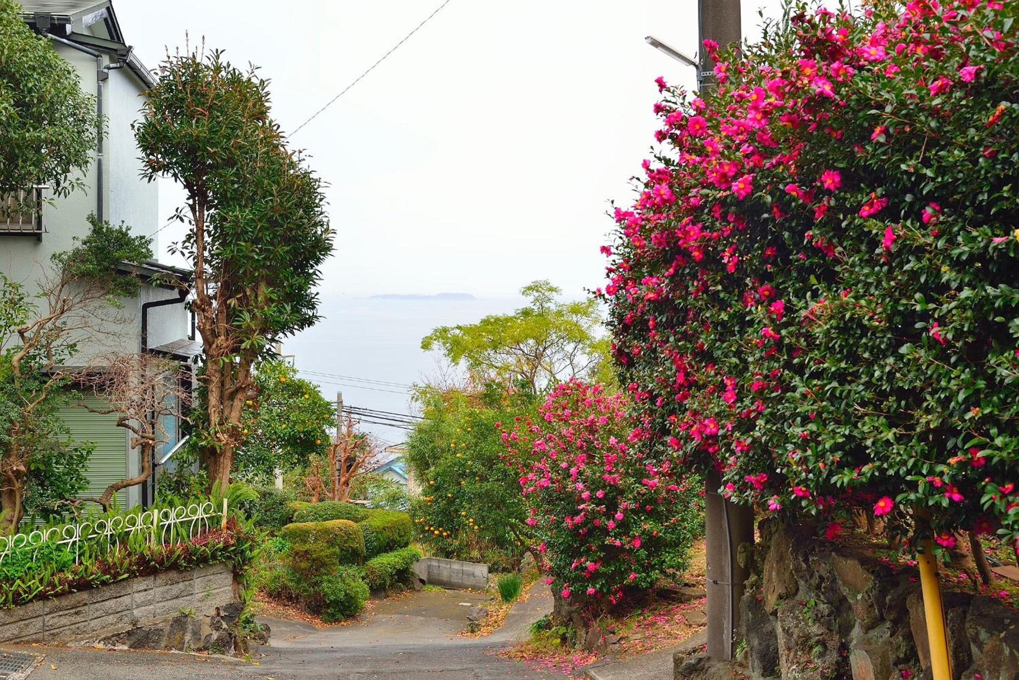 Holiday House 川奈 伊东 外观 照片